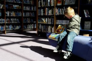 The treehouse library