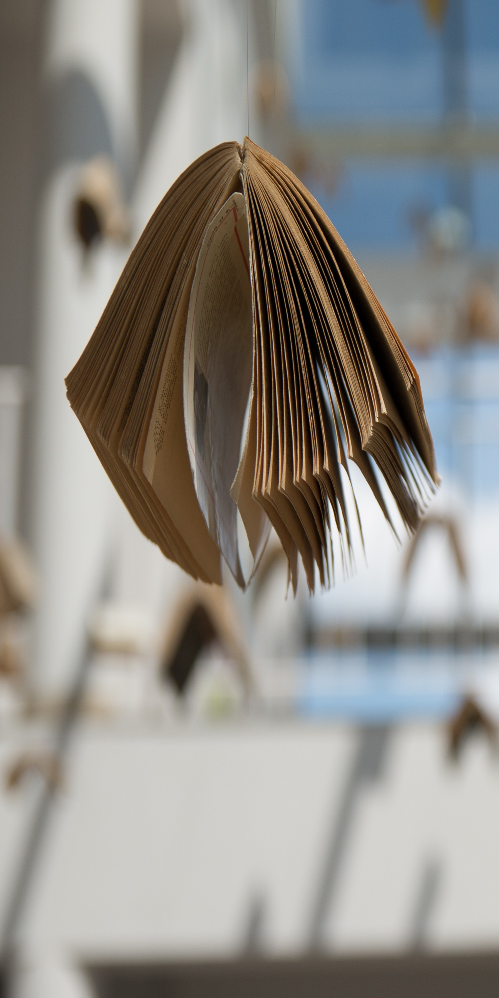 How to keep fit essay 200 words image